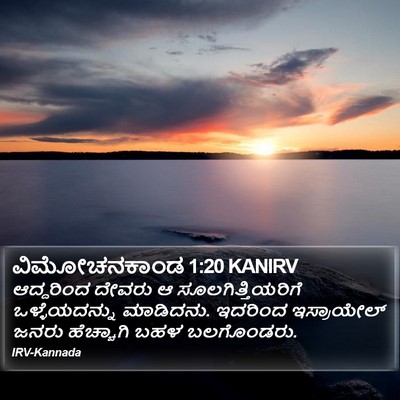 ವಿಮೋಚನಕಾಂಡ 1:20 KANIRV Bible Verse Image