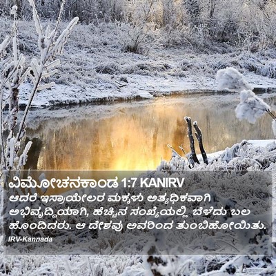 ವಿಮೋಚನಕಾಂಡ 1:7 KANIRV Bible Verse Image