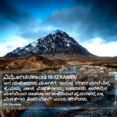 ವಿಮೋಚನಕಾಂಡ 10:12 KANIRV Bible Verse Image