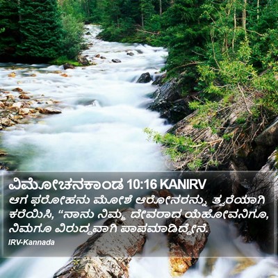 ವಿಮೋಚನಕಾಂಡ 10:16 KANIRV Bible Verse Image