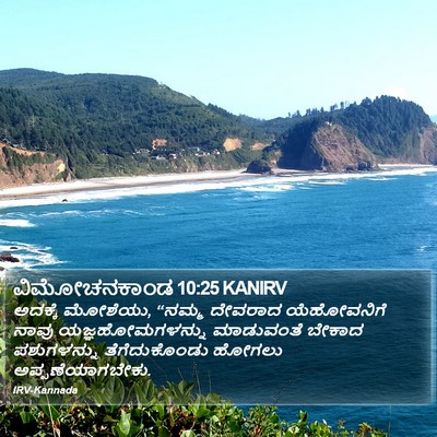 ವಿಮೋಚನಕಾಂಡ 10:25 KANIRV Bible Verse Image