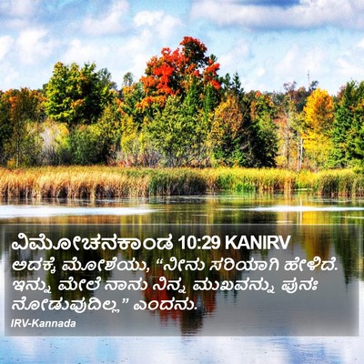 ವಿಮೋಚನಕಾಂಡ 10:29 KANIRV Bible Verse Image