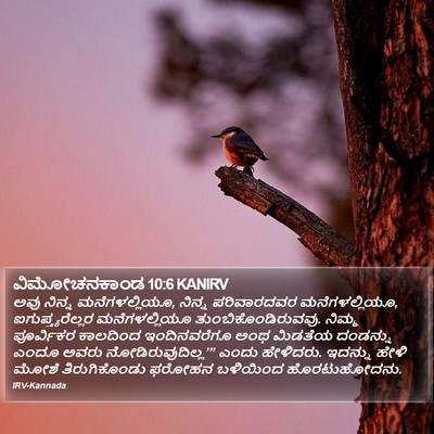 ವಿಮೋಚನಕಾಂಡ 10:6 KANIRV Bible Verse Image