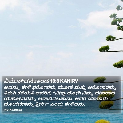 ವಿಮೋಚನಕಾಂಡ 10:8 KANIRV Bible Verse Image