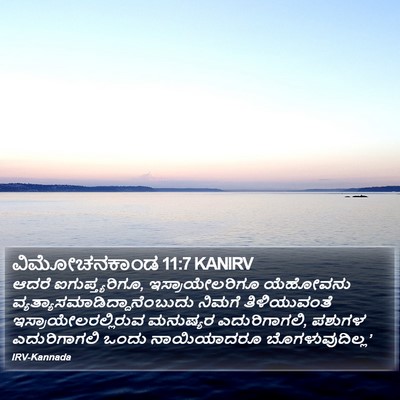ವಿಮೋಚನಕಾಂಡ 11:7 KANIRV Bible Verse Image