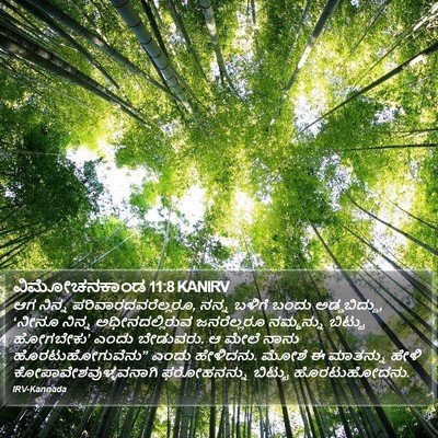 ವಿಮೋಚನಕಾಂಡ 11:8 KANIRV Bible Verse Image