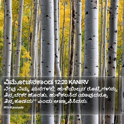 ವಿಮೋಚನಕಾಂಡ 12:20 KANIRV Bible Verse Image