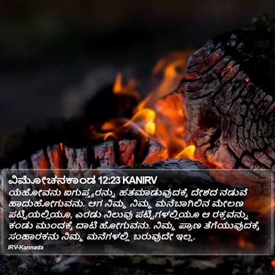 ವಿಮೋಚನಕಾಂಡ 12:23 KANIRV Bible Verse Image