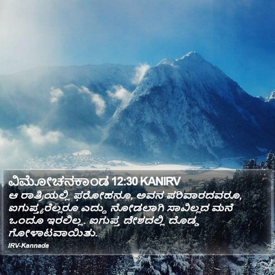 ವಿಮೋಚನಕಾಂಡ 12:30 KANIRV Bible Verse Image