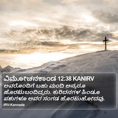 ವಿಮೋಚನಕಾಂಡ 12:38 KANIRV Bible Verse Image