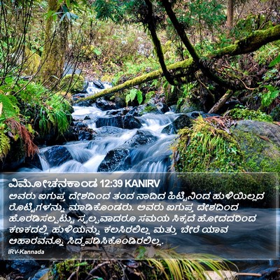 ವಿಮೋಚನಕಾಂಡ 12:39 KANIRV Bible Verse Image