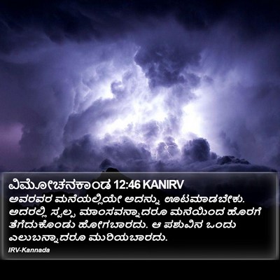 ವಿಮೋಚನಕಾಂಡ 12:46 KANIRV Bible Verse Image