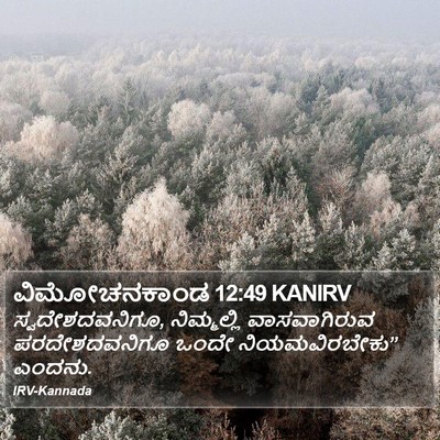 ವಿಮೋಚನಕಾಂಡ 12:49 KANIRV Bible Verse Image