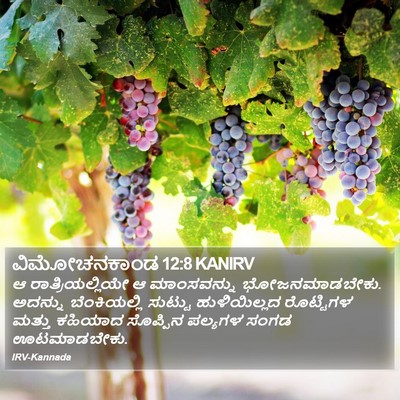 ವಿಮೋಚನಕಾಂಡ 12:8 KANIRV Bible Verse Image