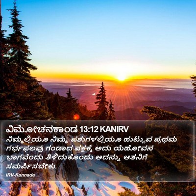 ವಿಮೋಚನಕಾಂಡ 13:12 KANIRV Bible Verse Image