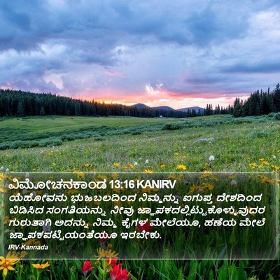 ವಿಮೋಚನಕಾಂಡ 13:16 KANIRV Bible Verse Image