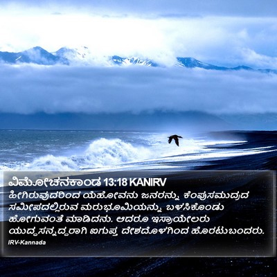 ವಿಮೋಚನಕಾಂಡ 13:18 KANIRV Bible Verse Image