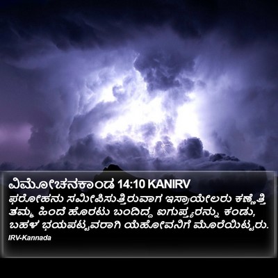 ವಿಮೋಚನಕಾಂಡ 14:10 KANIRV Bible Verse Image