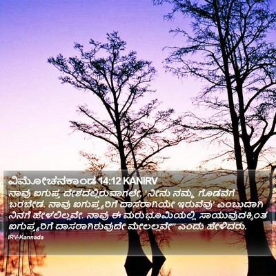 ವಿಮೋಚನಕಾಂಡ 14:12 KANIRV Bible Verse Image