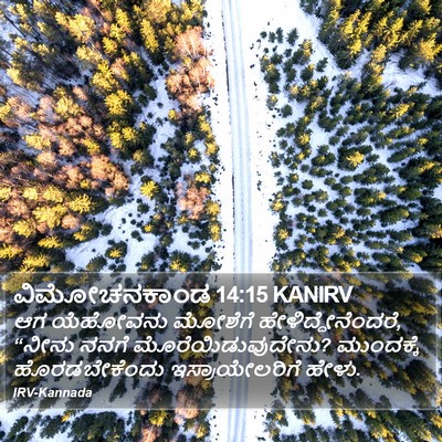 ವಿಮೋಚನಕಾಂಡ 14:15 KANIRV Bible Verse Image