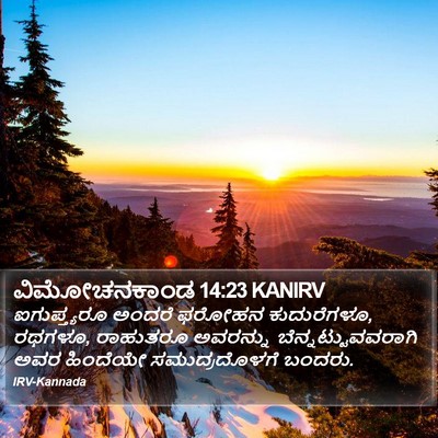 ವಿಮೋಚನಕಾಂಡ 14:23 KANIRV Bible Verse Image