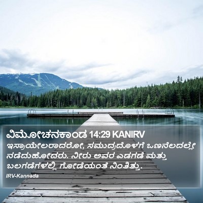 ವಿಮೋಚನಕಾಂಡ 14:29 KANIRV Bible Verse Image