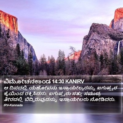 ವಿಮೋಚನಕಾಂಡ 14:30 KANIRV Bible Verse Image