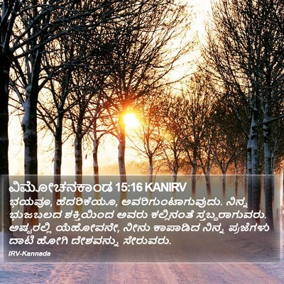 ವಿಮೋಚನಕಾಂಡ 15:16 KANIRV Bible Verse Image