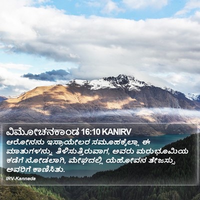 ವಿಮೋಚನಕಾಂಡ 16:10 KANIRV Bible Verse Image