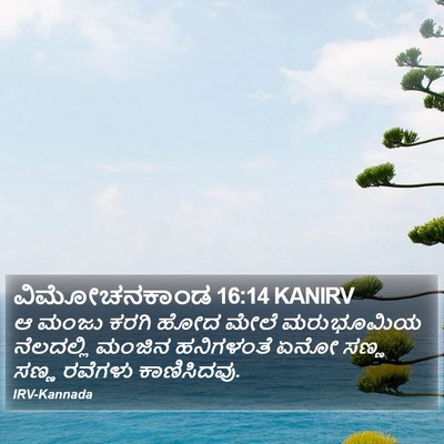 ವಿಮೋಚನಕಾಂಡ 16:14 KANIRV Bible Verse Image