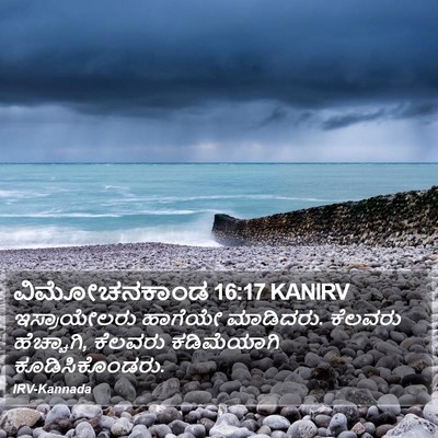 ವಿಮೋಚನಕಾಂಡ 16:17 KANIRV Bible Verse Image