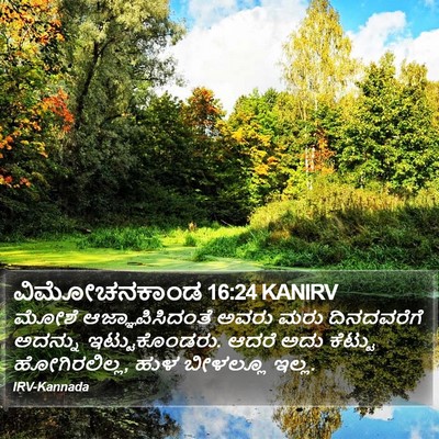 ವಿಮೋಚನಕಾಂಡ 16:24 KANIRV Bible Verse Image