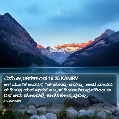 ವಿಮೋಚನಕಾಂಡ 16:25 KANIRV Bible Verse Image