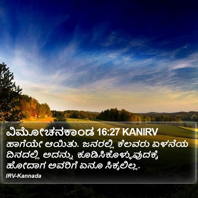 ವಿಮೋಚನಕಾಂಡ 16:27 KANIRV Bible Verse Image