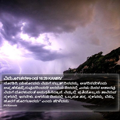ವಿಮೋಚನಕಾಂಡ 16:29 KANIRV Bible Verse Image