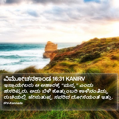 ವಿಮೋಚನಕಾಂಡ 16:31 KANIRV Bible Verse Image