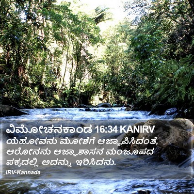 ವಿಮೋಚನಕಾಂಡ 16:34 KANIRV Bible Verse Image