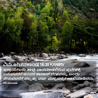 ವಿಮೋಚನಕಾಂಡ 16:35 KANIRV Bible Verse Image