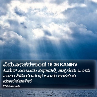 ವಿಮೋಚನಕಾಂಡ 16:36 KANIRV Bible Verse Image