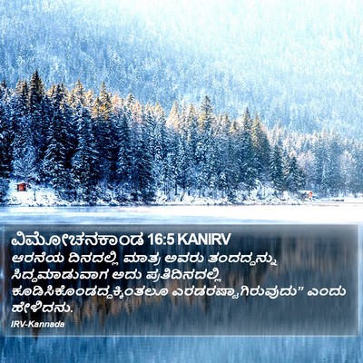 ವಿಮೋಚನಕಾಂಡ 16:5 KANIRV Bible Verse Image