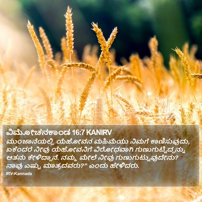ವಿಮೋಚನಕಾಂಡ 16:7 KANIRV Bible Verse Image
