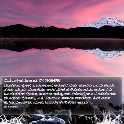 ವಿಮೋಚನಕಾಂಡ 17:12 KANIRV Bible Verse Image