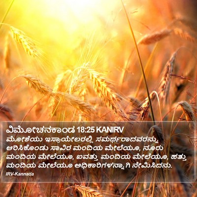 ವಿಮೋಚನಕಾಂಡ 18:25 KANIRV Bible Verse Image