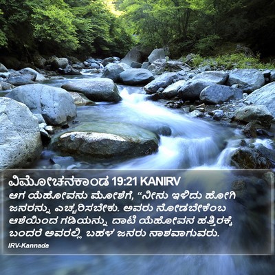 ವಿಮೋಚನಕಾಂಡ 19:21 KANIRV Bible Verse Image