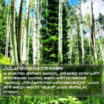 ವಿಮೋಚನಕಾಂಡ 2:10 KANIRV Bible Verse Image