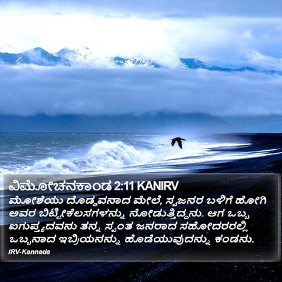 ವಿಮೋಚನಕಾಂಡ 2:11 KANIRV Bible Verse Image