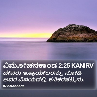 ವಿಮೋಚನಕಾಂಡ 2:25 KANIRV Bible Verse Image