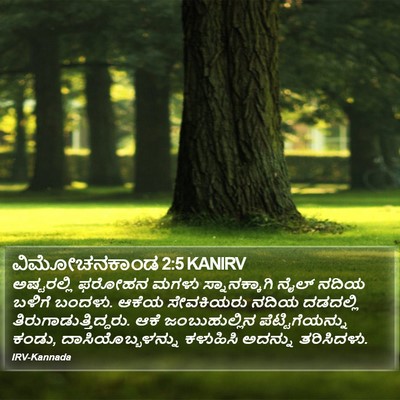 ವಿಮೋಚನಕಾಂಡ 2:5 KANIRV Bible Verse Image
