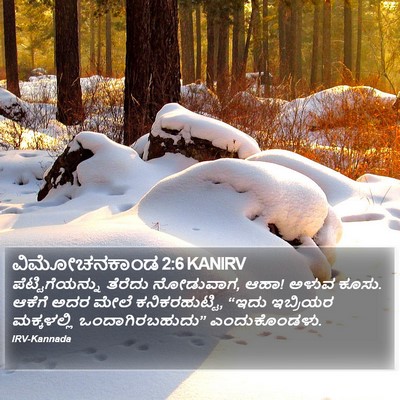 ವಿಮೋಚನಕಾಂಡ 2:6 KANIRV Bible Verse Image