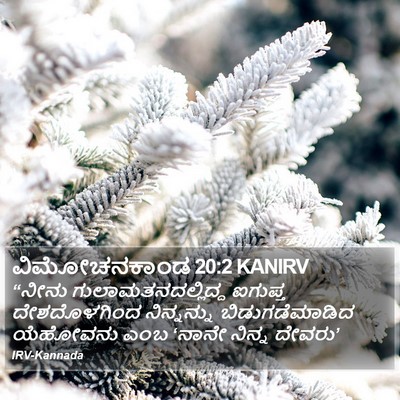ವಿಮೋಚನಕಾಂಡ 20:2 KANIRV Bible Verse Image